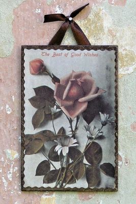obrázek vintage růže